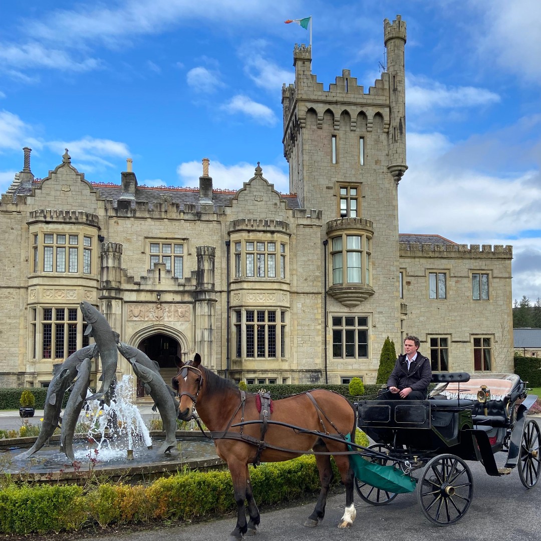 Your carriage awaits… 🐴

Explore the grounds of Lough Eske Castle on a horse-drawn carriage, pulled by Theresa or Paddy. 

Find out more ow.ly/4p4750Rt9Y0

#lovedonegal #wildatlanticway #donegal #ireland #govisitdonegal #lougheskecastle