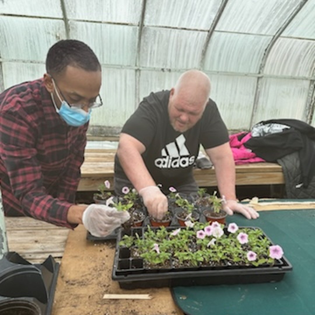 Our Pre-voc participants have enjoyed their time and the nice weather while volunteering at Wheatley Farms. Recently, they helped prepare the flowers and plants in the nursery. 

#skillbuilding #prevocationaltasks #disabilitypride #springisin