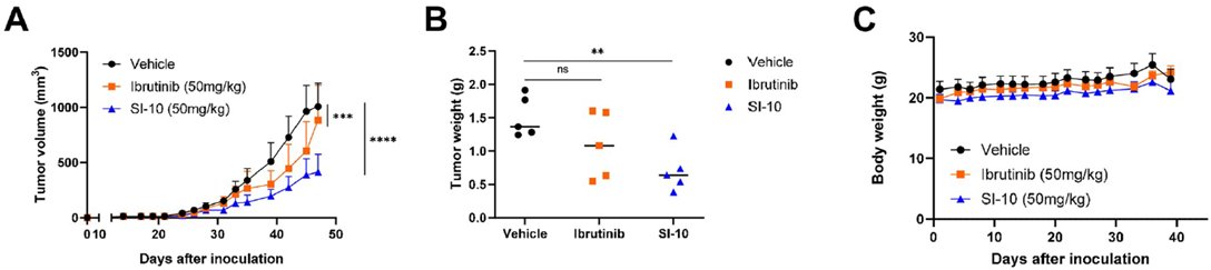 Working with the Baylor College of Medicine, we studied an inhibitor of SRC-3, which is highly expressed in NHL lymph nodes. It is dose-dependently cytotoxic to #MCL cell lines and slows growth of mouse and human ibrutinib-resistant tumors in mice. tinyurl.com/SRC3-MCL