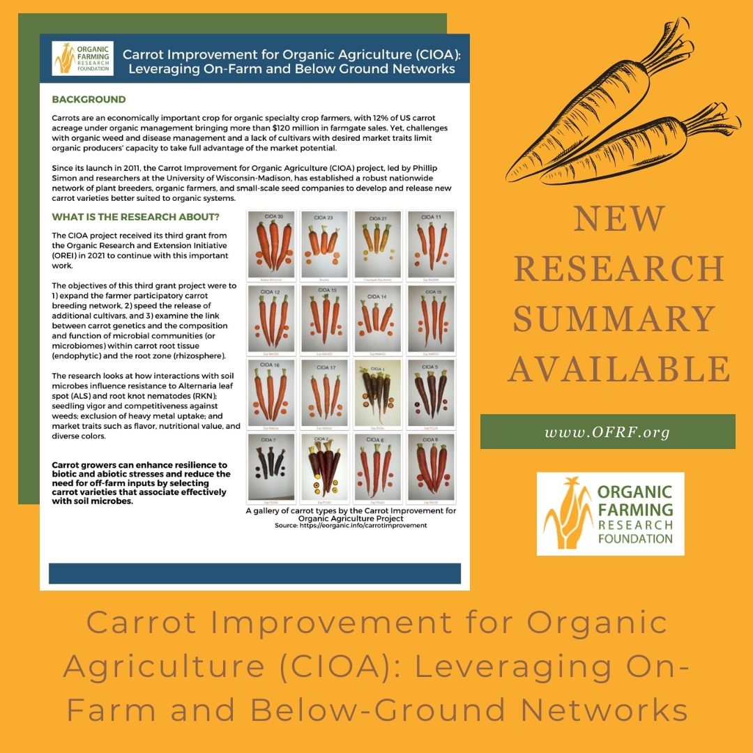🥕 New research summary available! 🥕

Since 2011, researchers leading the CIOA project have been looking to improve carrot varieties for organic production.

Learn more:  ofrf.org/download/ofrf-…