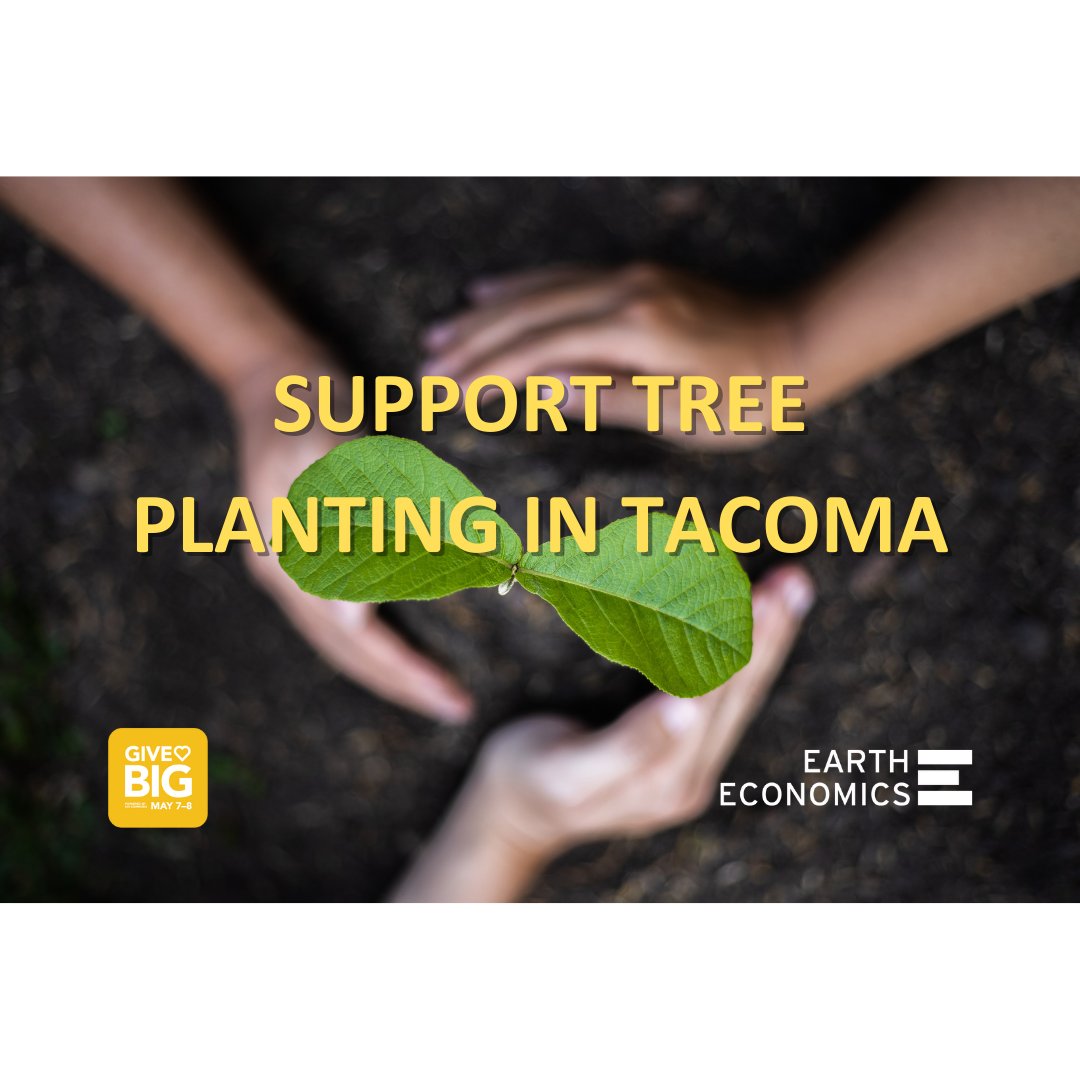 Trees are the ultimate #GiveBIG2024 partners. Urban trees provide multiple health, environmental and social benefits. Support tree benefits in Tacoma with a donation today. #GreenSchools #GreenCommunities  #earlygiving

ow.ly/ogTP50RkxRT