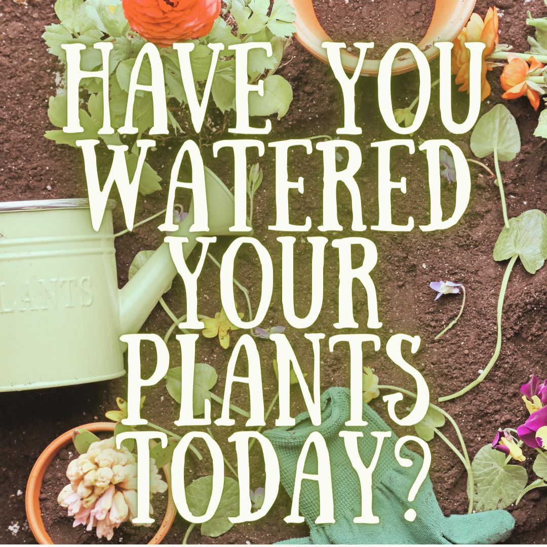 Nourish your garden, nurture your soul – stay hydrated, everyone! 🌱💧🥕 

#wateringwednesday #MayDay #GardeningTips #HappyPlants #waterthoseplants #urbangardening #urbanhomestead