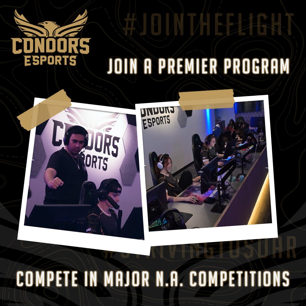 Do you have what it takes? The Condors are looking for talented gamers across our many Varsity teams! 🌟

Apply today and let's make history together! 💪
linktr.ee/condorsesports

#JoinTheFlight #StrivingToSoar #CondorsEsports