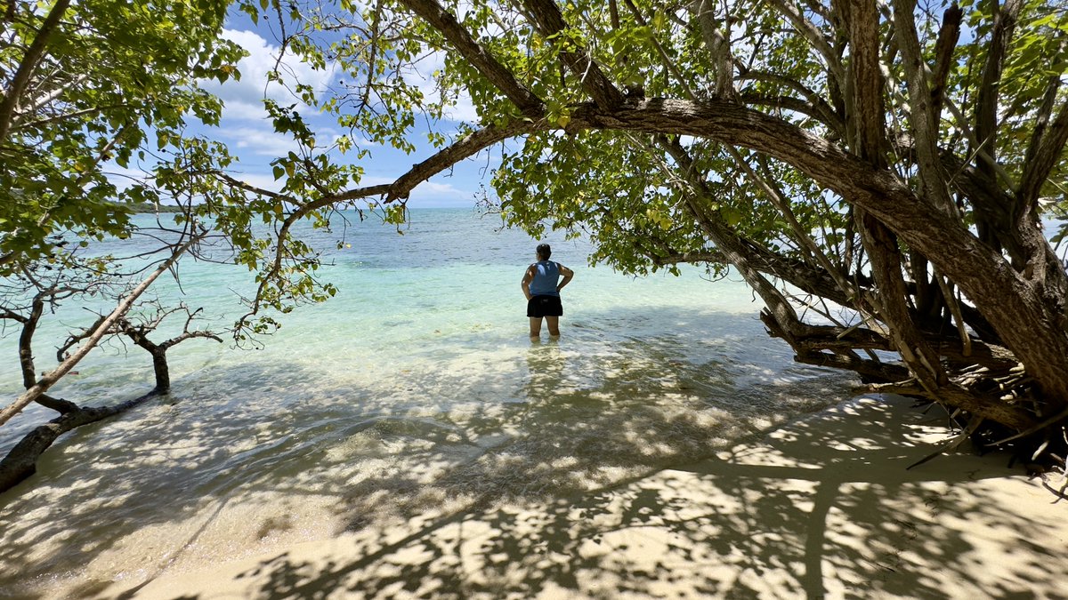 Dicen que el paraíso es un estado mental, pero en Cabo Rojo, también es un lugar. 🌊🌿 #EscapadaPerfecta #CaboRojo