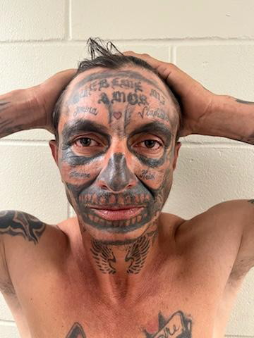 4/29: USBP agents in New Orleans, LA conducted a vehicle stop & arrested an MS-13 gang member, Lorenzo Alexander Benitez, from El Salvador. He will be prosecuted for felony re-entry after being previously removed from the US FY24: USBP agents have arrested 41 MS-13 gang members.