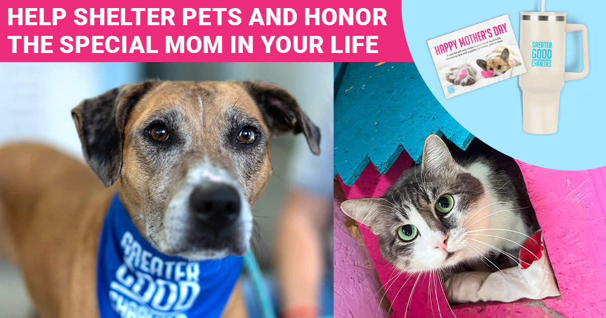 This #NationalPetMonth, help shelter pets in honor of mom! 💝 You can make #MothersDay extra special by giving $125 or more to receive a limited edition GGC tumbler & card! 💌

Dog care packages: 🐶 hubs.ly/Q02sp_kv0 🐶
Cat care packages: 🐱 hubs.ly/Q02sqbQc0 🐱