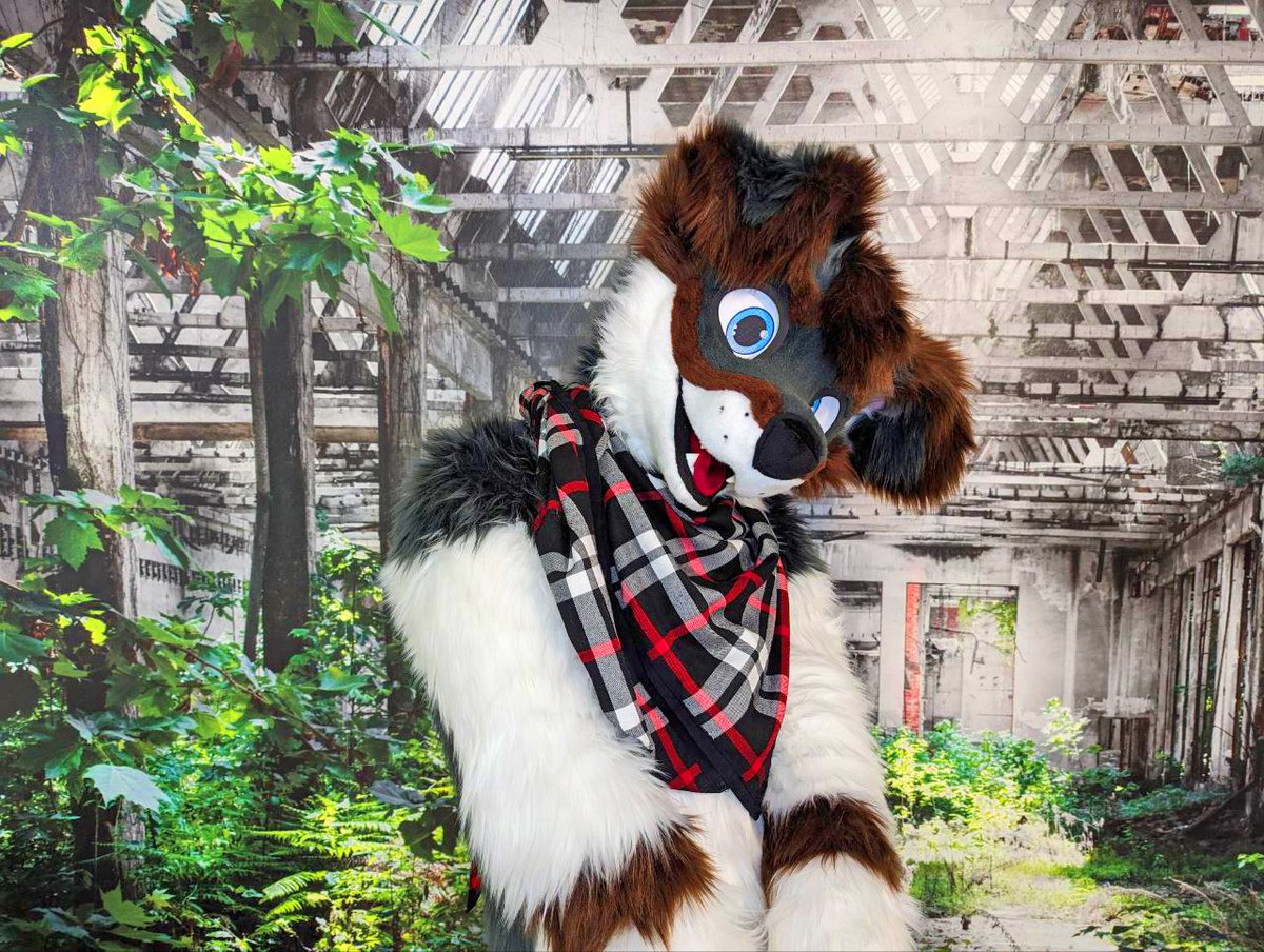 I am still a bit shy when someone asks me for a photograph. 😳 Thanks to @Shane_the_Wolf for this adorable picture. <3