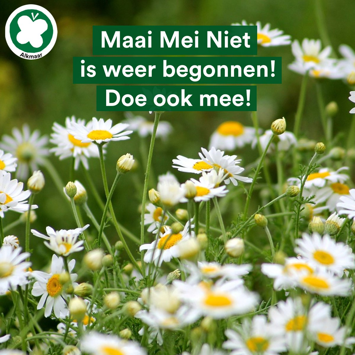 Het is weer mei! En dat betekent dat #Maaimeiniet weer is begonnen! 🌼#Insecten hebben het door #pesticiden en de afname van #natuur en biologische #bloemen erg zwaar in Nederland. Om hen een handje te helpen vragen wij jou om even een maandje helemaal niets te doen. (1/2)