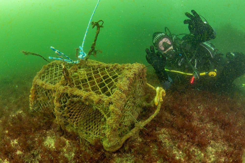 Check out these amazing underwater photos from Wexford Sub Aqua Club who recovered this lobster pot from the wreck of the S.S. Lennox at the back of the Great Saltee. Tomhaggard Clean Coasts collected the pot & it is now ready to be returned to local fishermen 🦞 📸Ivan Donoghue