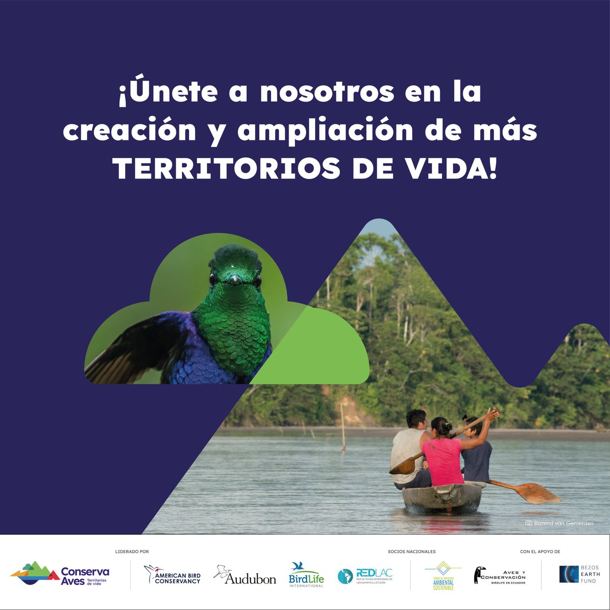 (2/2) Conserva Aves es liderada por @ABCbirds, @AudubonAmericas, @BirdLifeAmerica y @RedLAC1. Los socios nacionales son @AyC_BirdLife y @EcuadorFias, líderes de la ejecución en Ecuador con el apoyo de @BezosEarthFund.