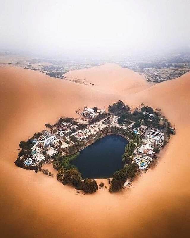 An oasis in the desert