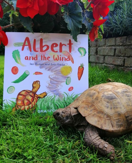 On a blustery day, Albert's #salad blows away. His #garden #friends set about returning it to him. Discover how in #ALBERTthetortoise #picturebook ALBERT AND THE WIND #AvailableNow with five more ALBERT #picturebooks, #BoardBook & #ActivityBook AlbertTortoise.com
#bookseries