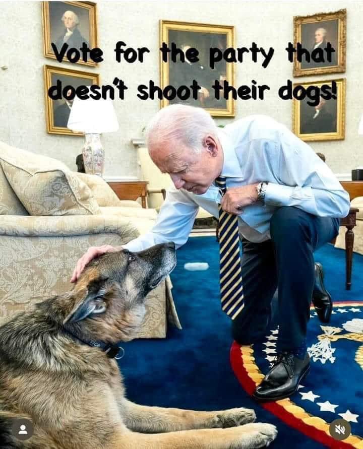 Vote for the party that doesn’t shoot their dogs. #VoteBlue2024ProtectDemocracy
