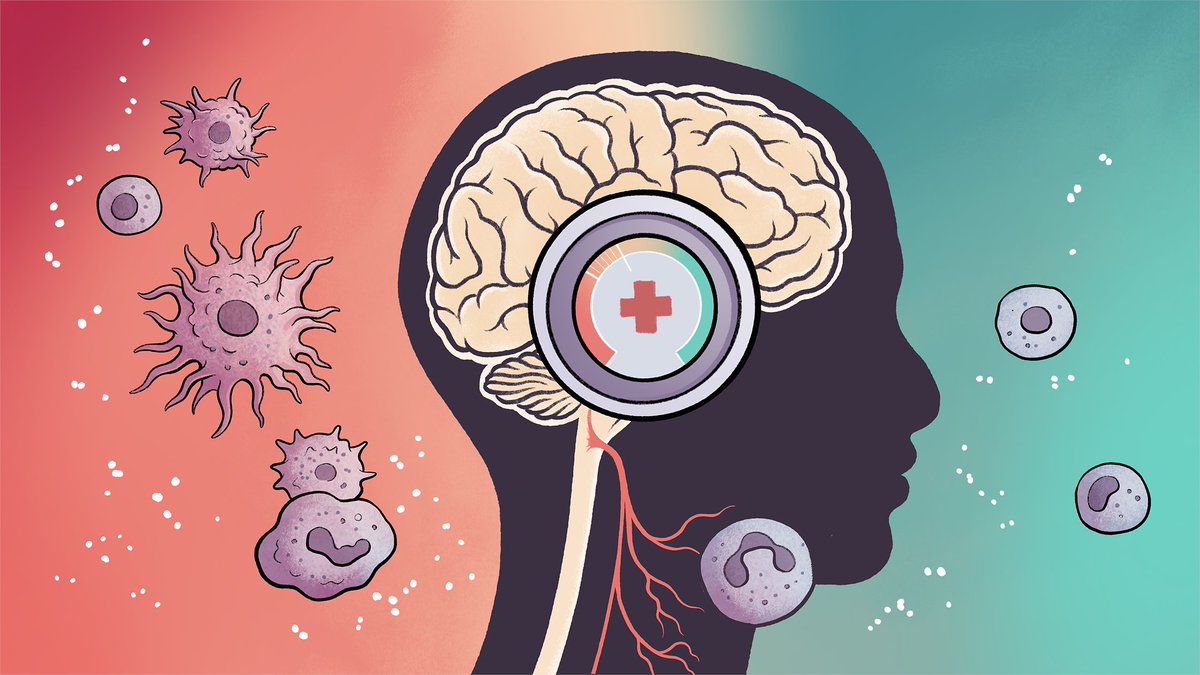 Our understanding of inflammation and immunity via the body-brain axis jumps forward via discovery of a new circuit (involving cNST, delineated via single-cell sequencing, functional imaging, spatial omics) nature.com/articles/s4158… @justsaysinmice @ColumbiaMed @ZuckermanBrain…