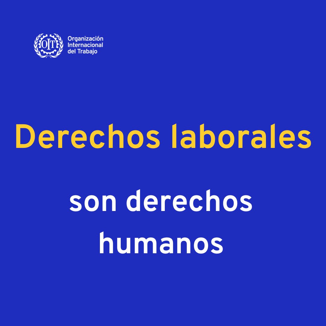 Los derechos laborales son derechos humanos.

Toda persona merece salarios justos, condiciones seguras y dignidad en su lugar de trabajo.

En este Día de los Trabajadores, continuemos avanzando hacia la justicia y la igualdad para todos.