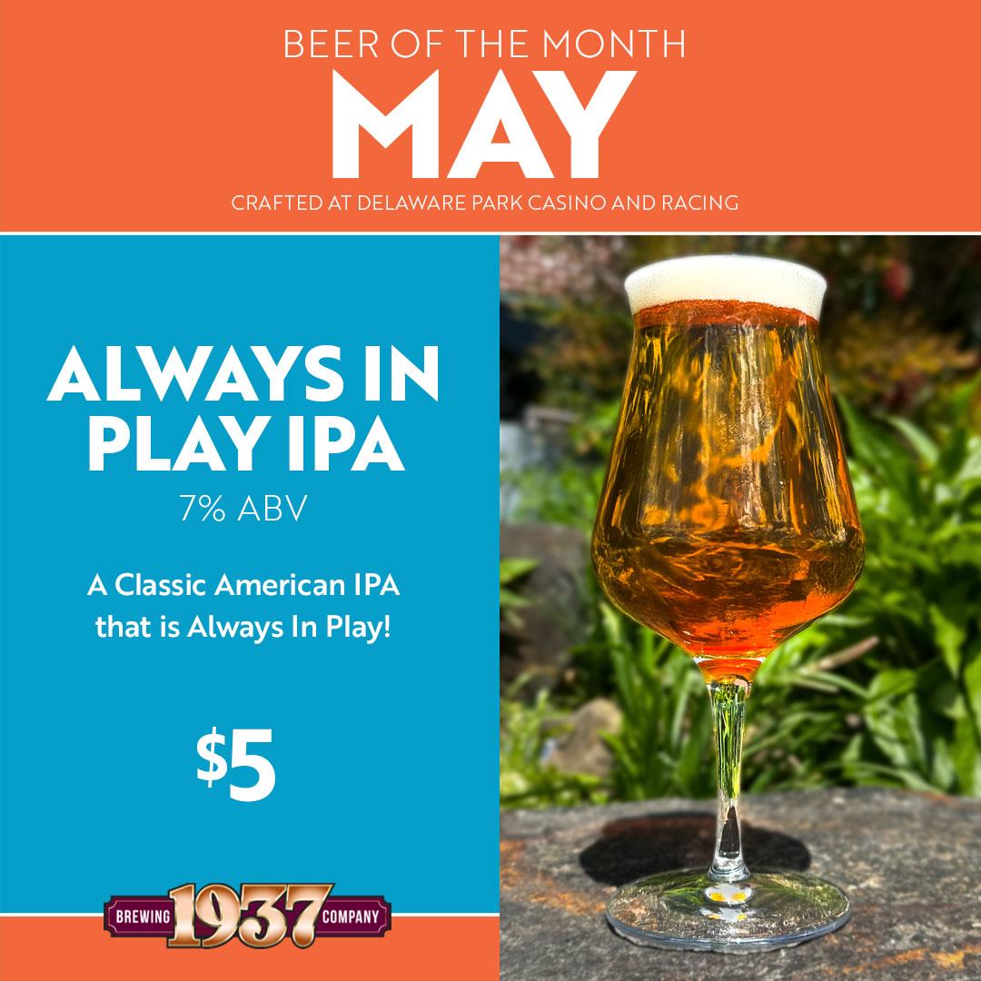 Introducing our latest Beer of the Month - 'Always in Play IPA' This American IPA is the perfect way to kick off your weekend with a refreshing and crisp taste. Try our new brew today!😊🍻