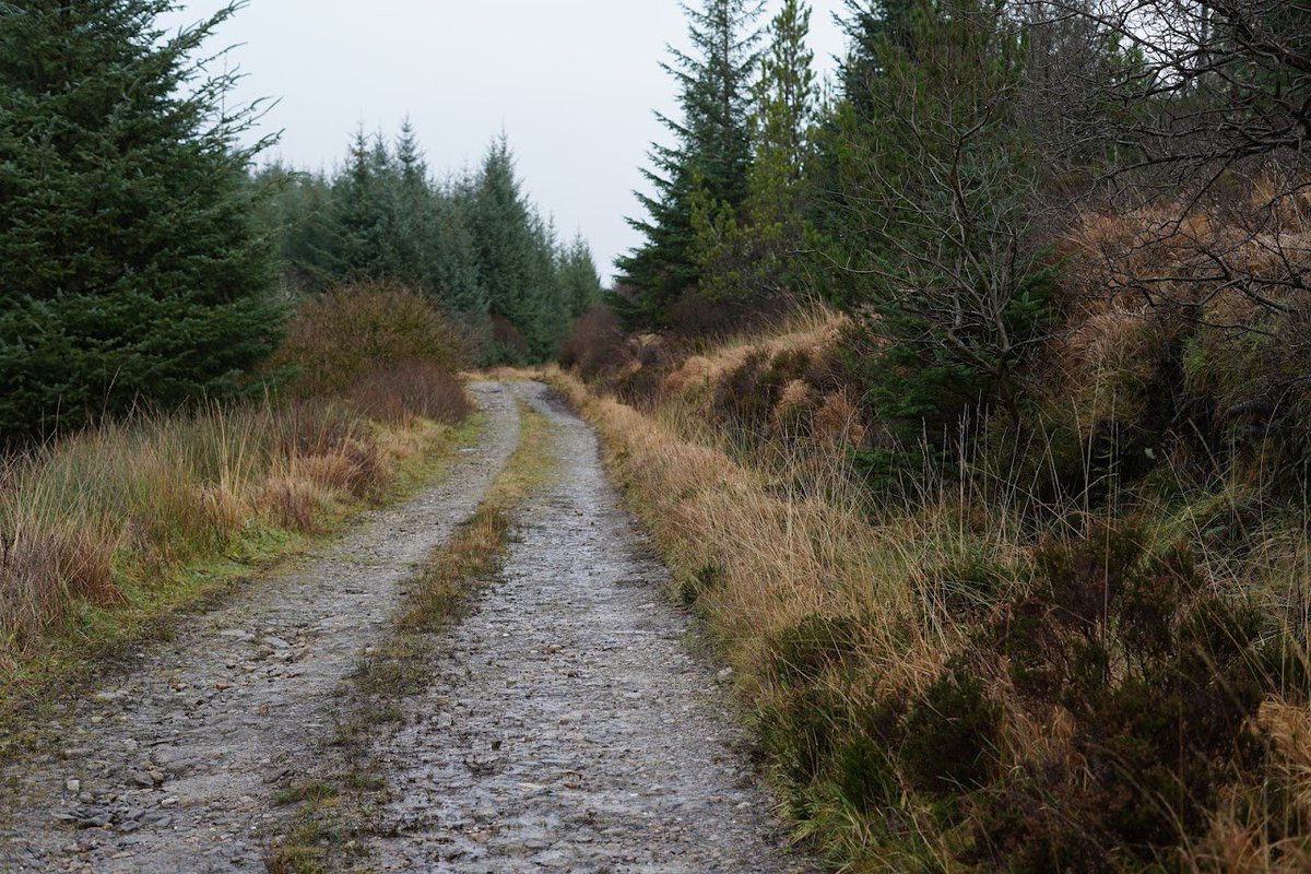 Do you have time for a little walk?
Take a breath 
#Photoftheday
Donegal, Ireland