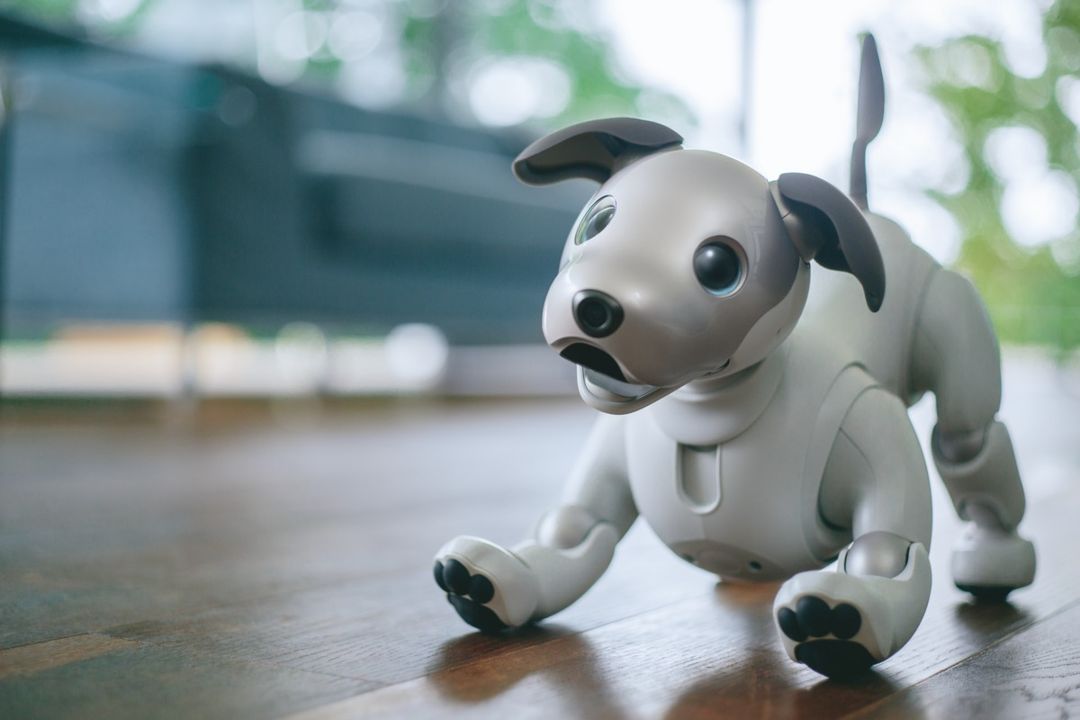 Which edition of the adorable aibo would you welcome into your home?