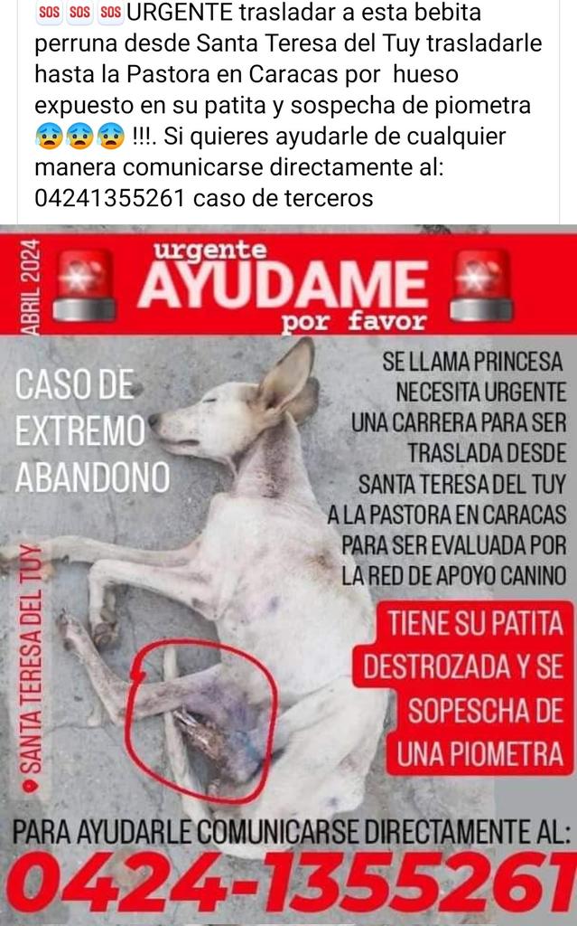 Necesita AYUDAAAAA URGENTE