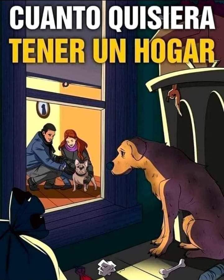 #AdoptaNoCompres 🙏❤️