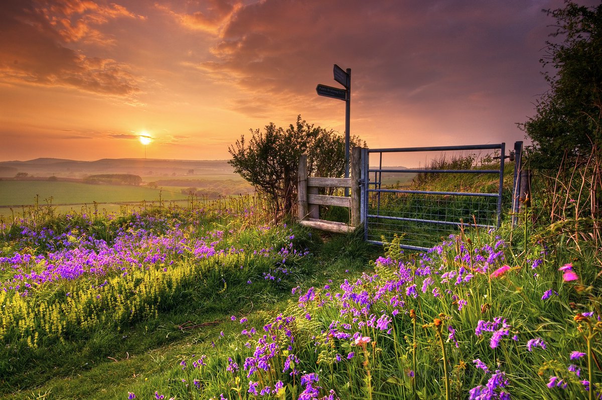 A mellow spring sunset over Godshill's Bleak Down. 📸 Island Visions Photography #iwnews #isleofwight #iow #godshill #photooftheday