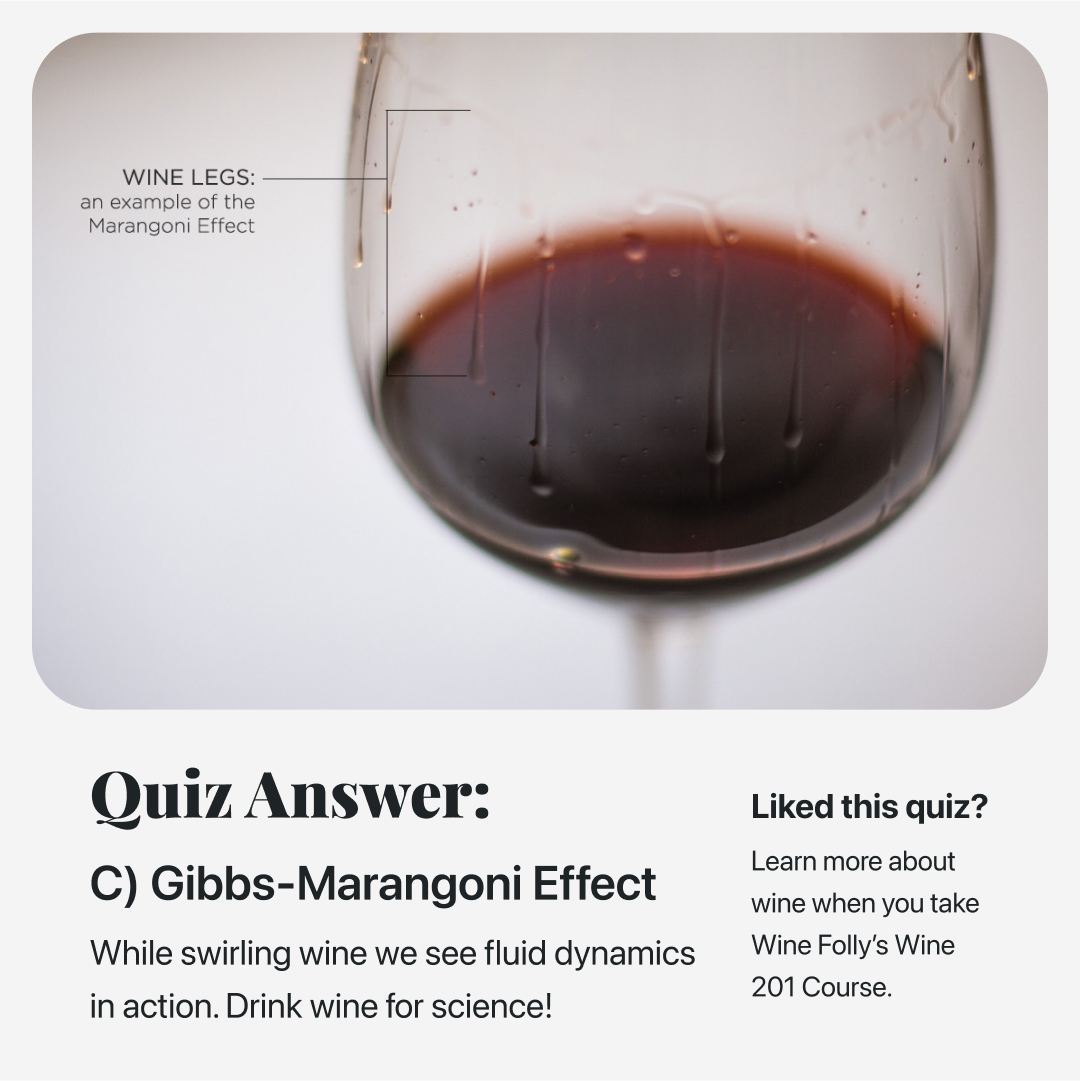 Learn more -> loom.ly/vnOiBwY #wine