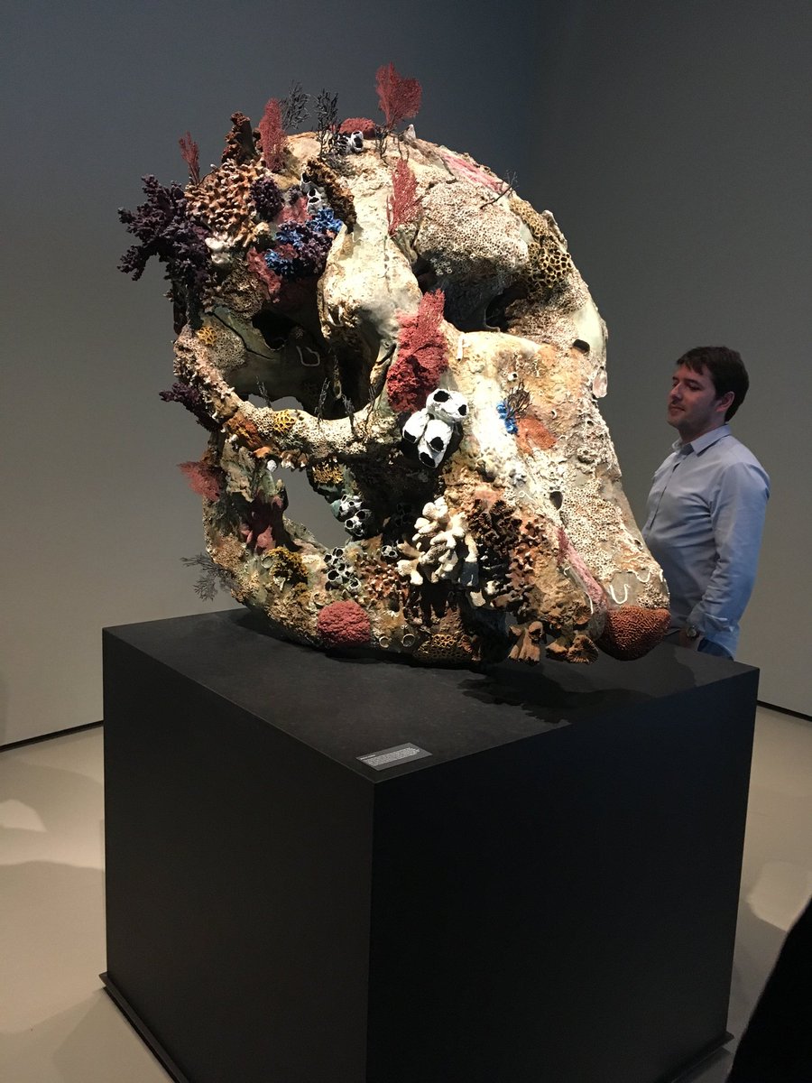 Damien Hirst's 'Cyclops Skull' from 'Treasures from the Wreck of the Impossible'exhibit, Venice Biennale 2017, inspired by my book #FirstFossilHunters lesoeuvres.pinaultcollection.com/en/artwork/sku…