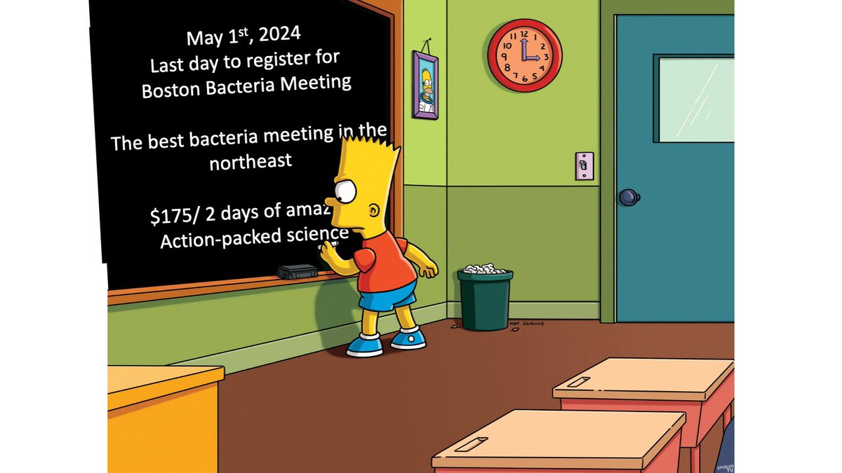 TODAY is Deadline for Late Registration for Boston Bacteria Meeting 2024! Join us June 3 + 4th at BU -- you will make lifelong friends and learn about cool molecular mechanisms! ✏️👭👬🧑‍🤝‍🧑😎🔥 Come cry over your system 😭 and laugh 😆over genetic mutant phenotypes🦠😁!