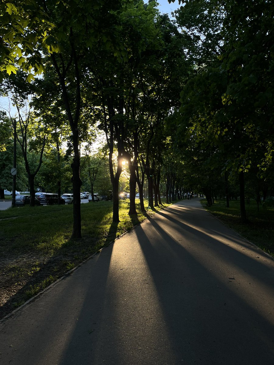 #evening #NatureLover #spring #springtime #sunny #sunset #warm #moment #green #alley #goodnight #nofilters #photooftheday #photographer