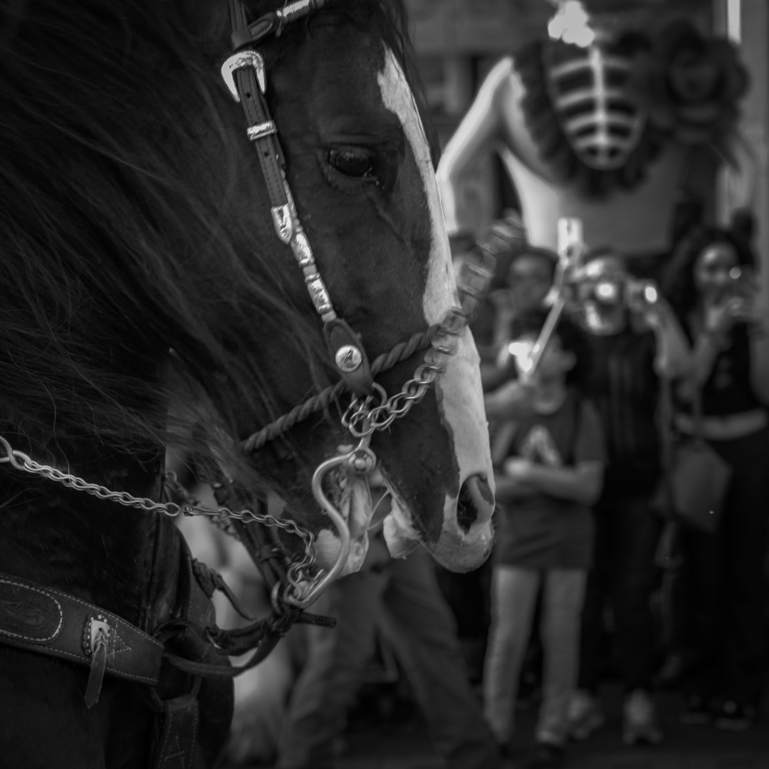 #streetphotography #blackandwhitephotography #portraitphotography #canoncamera #blancoynegro #fotografia #photography #streetphoto_bnw