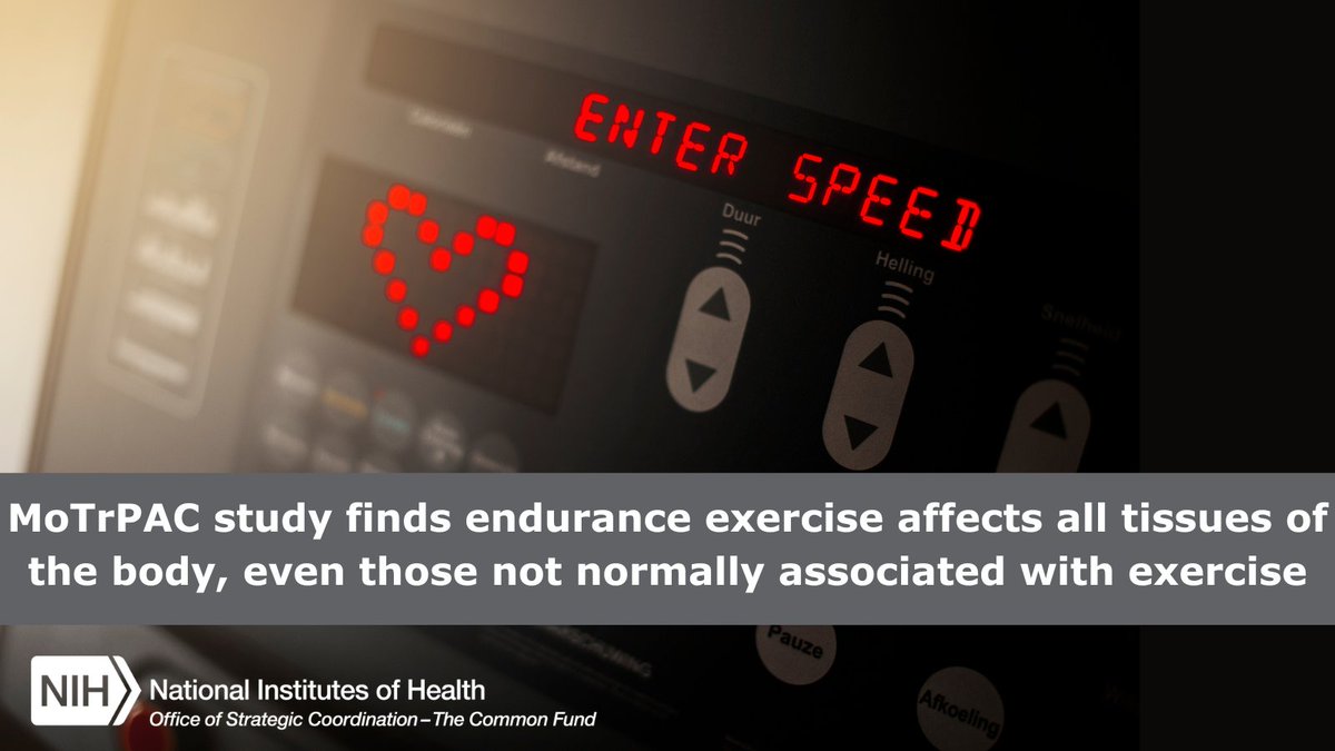 Interested in #ExerciseScience? A new study from #MoTrPAC has found that endurance exercise affects all tissues of the body in an animal model, even those not associated with exercise. Learn more here go.nih.gov/MoTrPAC-study