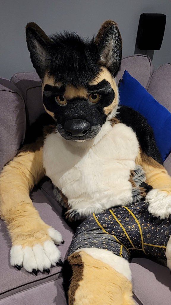 Join me on the sofa?

📸 @UnoOtter  #fursuit