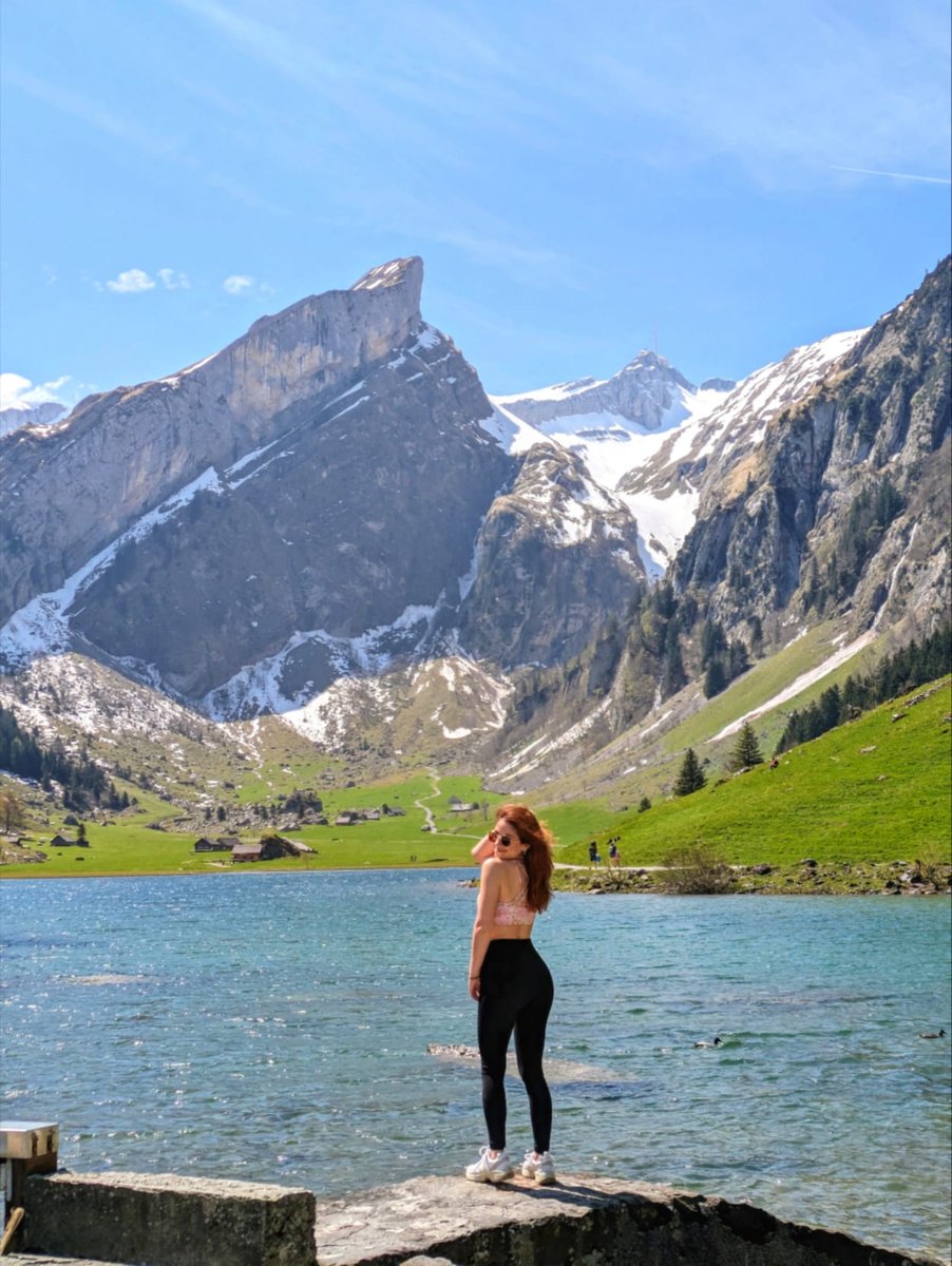 The Swiss Alps 🇨🇭 are sending me buy signals! 😜🦋🍄

#cryptocurrency #LabourDay