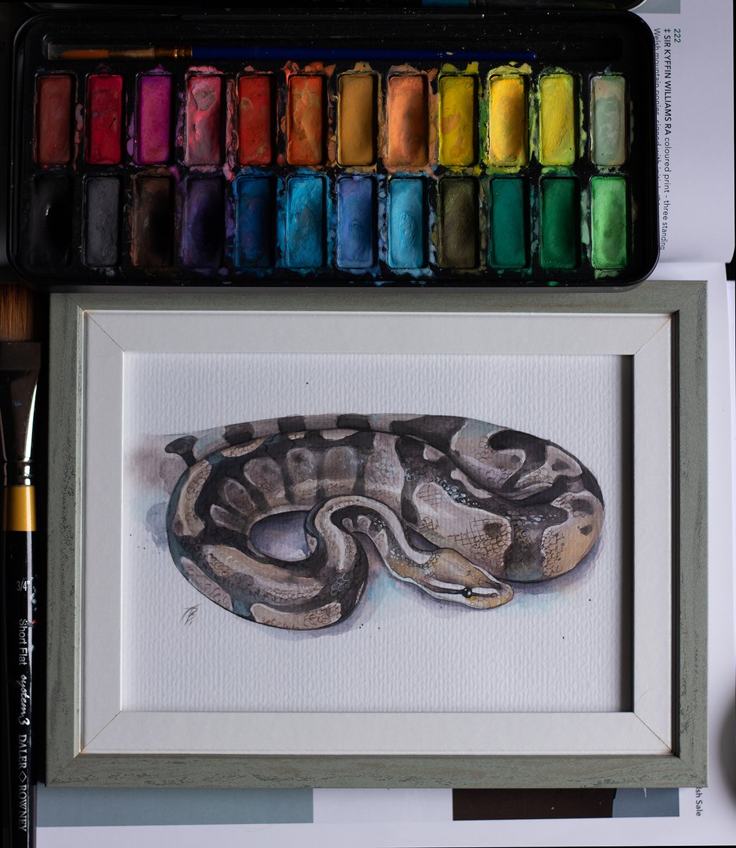 I am so happy to have received so many orders!! 
And a few from my followers =)
One of them is the brilliant Crowley 🐍🤩
Thank you!💕
etsy.com/shop/TendaLeeA…
#petportraits #snake #cat #dog #commisions #potraits #pets #ArtistOnTwitter #EtsySeller #etsyart #gift #UK #Cardiff