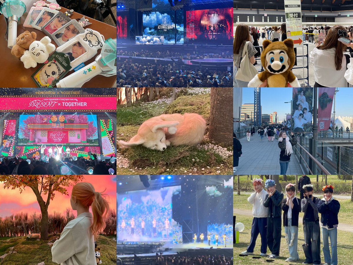 New tag🏷️💫

　　　　　とくにチェが大好きです🐰🦊🧸
　　　　　　　　　
　　　　　　　　'99 / Tokyo / 同他◎
　　　
　　　年齢問わずなかよくしてくれるmoaちゃん

　　　　　　❤︎ or ↻でお迎え行きます🥺💕

#TXT好きな人と繋がりたい 
#MOAと繋がりたい 
#MOAちゃんと繋がりたい