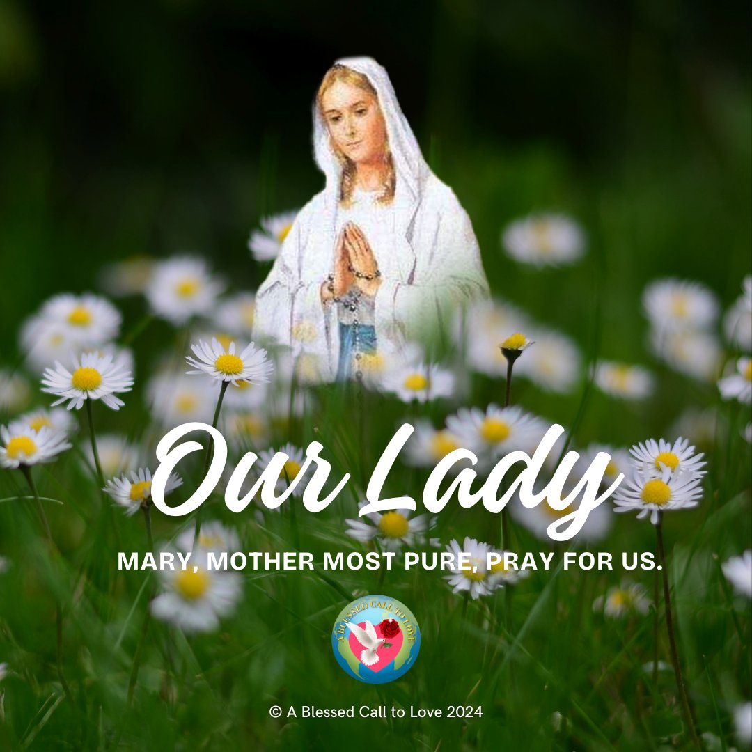 Our Lady, Mother Mary
#irishblessing #ourlady #mothermary #banner #feastday #oildedicated #scriptures #inspirationalquotes #patronsaint #patron #saint #oils #card #story #message #quotes #stories #history #biblereading #wordofGod #inspiration #blessed #wisdom #ablessedcalltolove