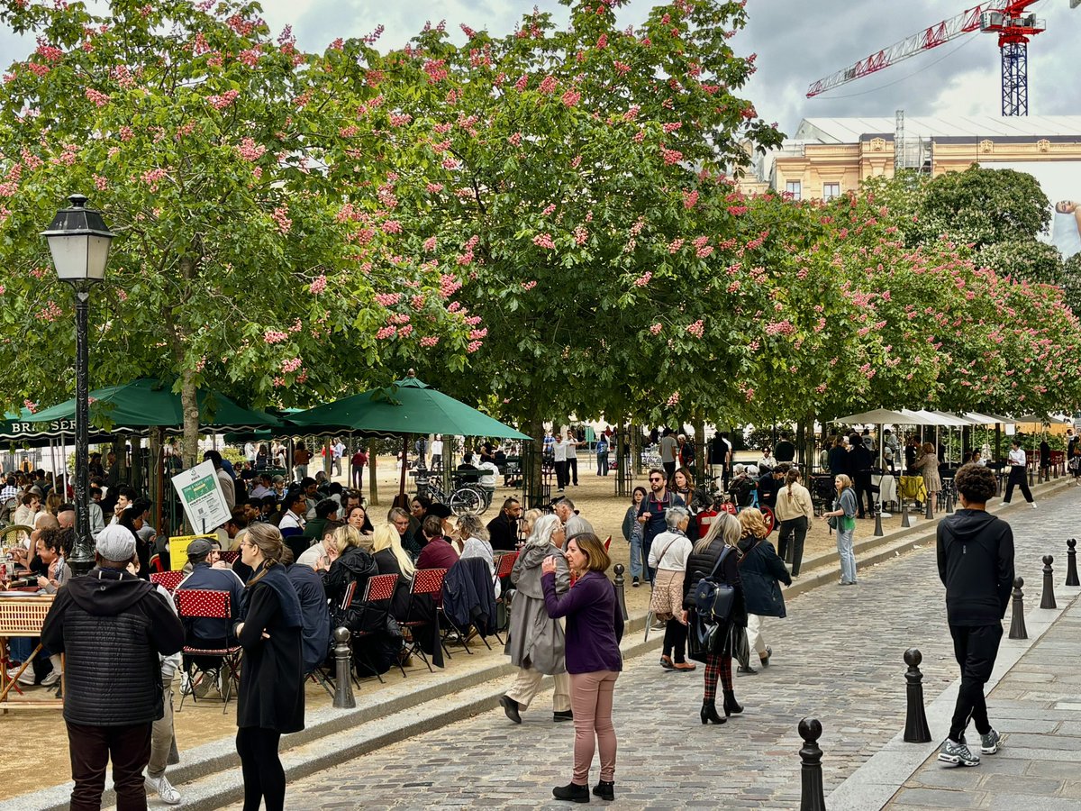 Diminuer la place de la voiture, c’est libérer de la place pour les piétons. Libérer de la place pour faire du sport. Libérer de la place pour se retrouver entre amis. Libérer de la place pour la nature. Et c’est plébiscité par les Parisiens.