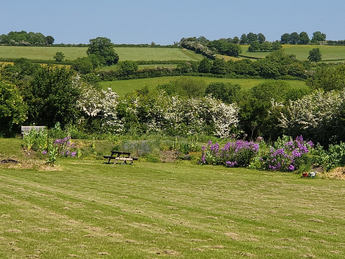 Why are our cottages special to us?
From the cosy crackle of our log burner in Stable cottage, the warmth of our snug living room in the Barn cottage, to those breathtaking views from The Laurels that steal our hearts every time.
#WelcomeToOurHome #SomersetMagic #ExploreMore