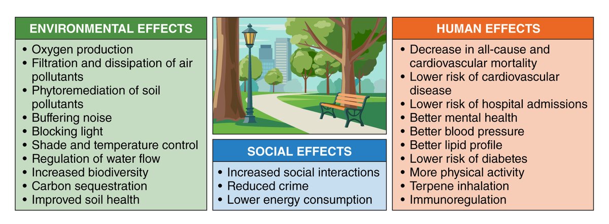 @CircRes #Environmental Impacts on #Cardiovascular Health and #Biology Compendium Alert! #Greenspaces and Cardiovascular Health ahajrnls.org/3y0F59K Authored by Drs. Drs. RJ Keith, JL Hart, and A Bhatnagar.