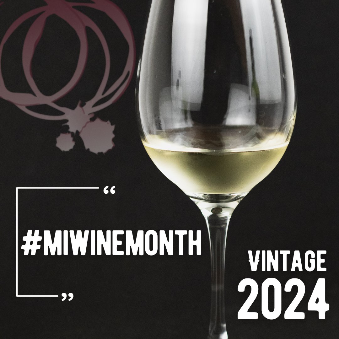 IT'S HERE!!!! Michigan Wine Month, Vintage 2024! Let's celebrate Michigan wine all month long. Let's raise a glass to Michigan wine and this amazing industry. #MichiganWineCollaborative #MIWine #MichiganWine #DrinkMIWine #TasteMichigan #CoolIsHot #MIWineMonth #MichiganWineMonth
