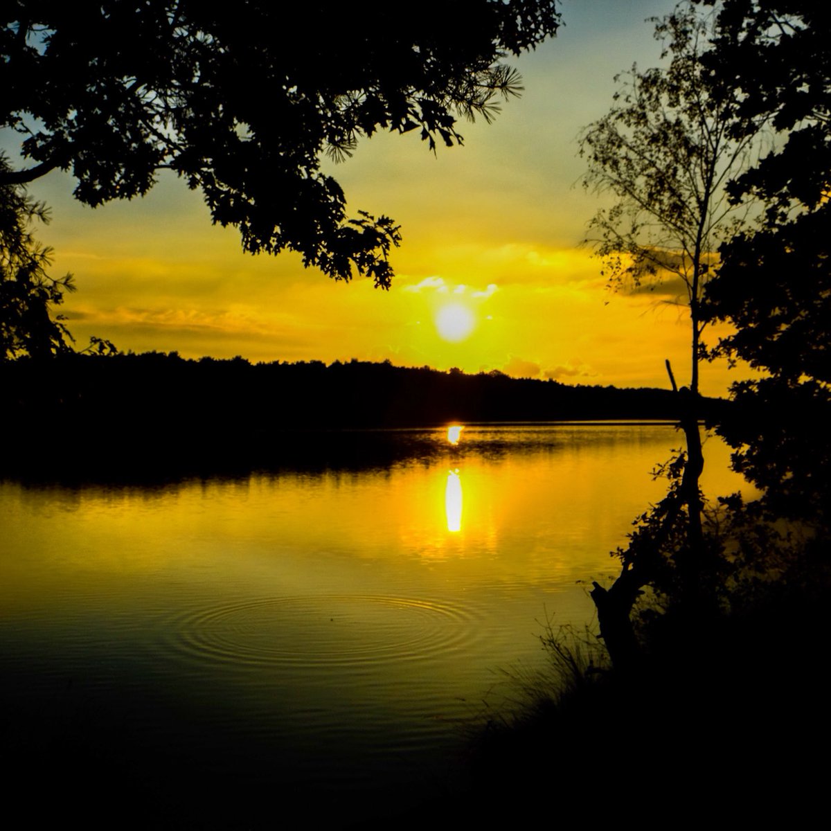 Black and gold sunset
A colorful end of the day
Taken with iPhone X, check shor.by/bjorn for more of my #photography and #mobilephotography info!