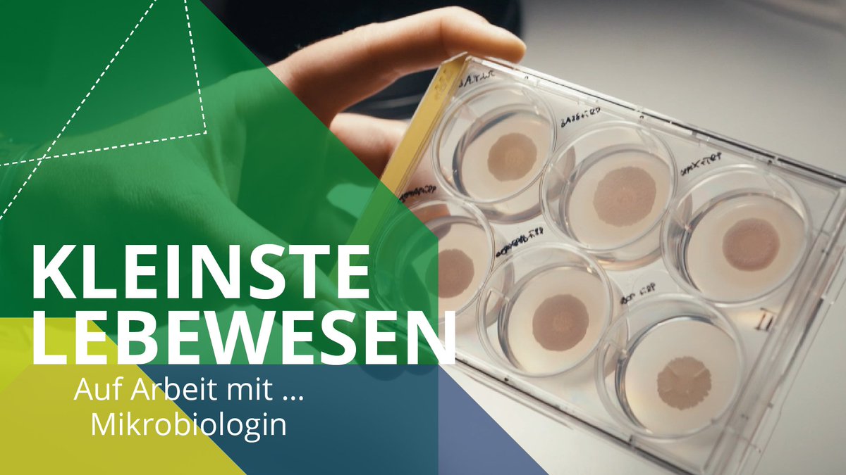 Bakterien, die Kannibalismus betreiben?! 🤯🦠 Warum sie das machen, erklärt Mikrobiologin Lena in der neuen Folge »Auf Arbeit mit…«. Einblicke in Lenas Laboralltag & in das Reich der Bazillen gibt es im neuen Video ➡️youtu.be/riuc4l4eY5w #WissKomm