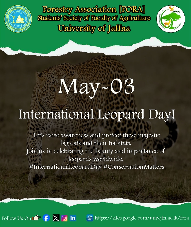 Happy International Leopard Day! 🐆 Let's raise awareness and protect these majestic big cats and their habitats. Join us in celebrating the beauty and importance of leopards worldwide. #InternationalLeopardDay #ConservationMatters #FORA #UOJ