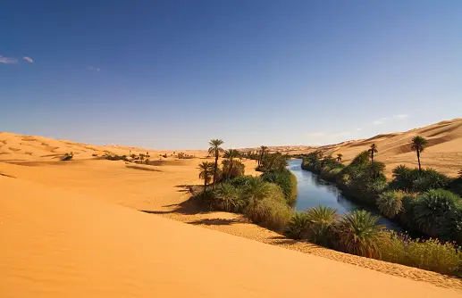 Sahara Desert: The Sahara Desert is the largest hot desert in the world, covering an area of approximately 9.2 million square kilometers (3.6 million square miles). Despite its harsh conditions, the Sahara is home to diverse ecosystems and cultures. #SaharaDesert
