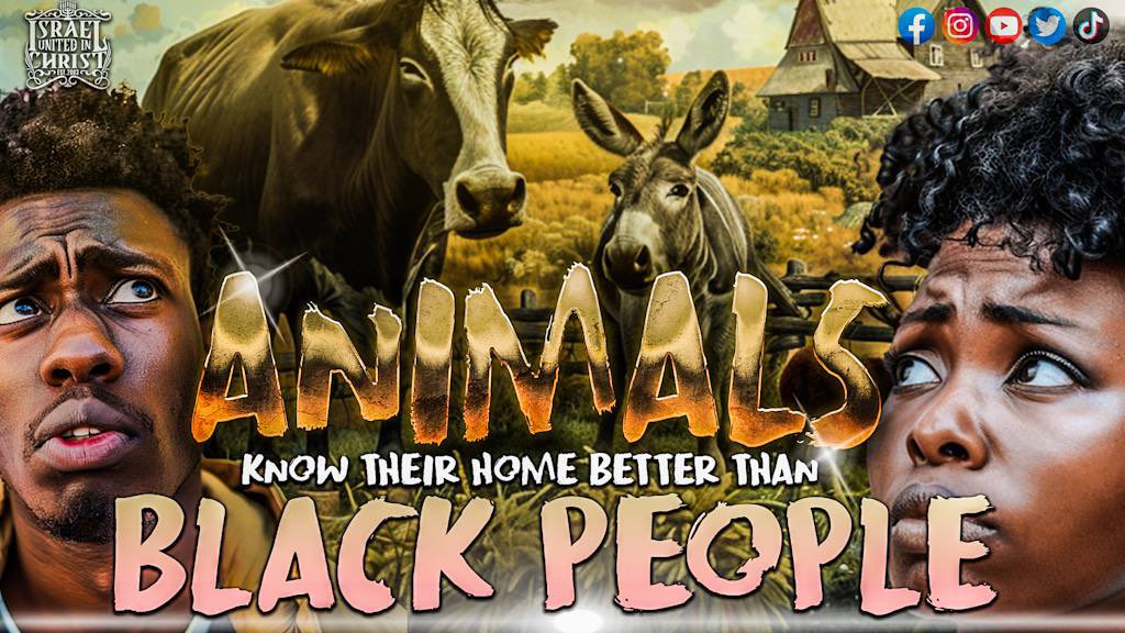 SUBSCRIBE🛑 SHARE 🛑COMMENT🛑LIKE IUIC COLUMBIA SC NEW VIDEO! .…………………………………… Animals Know Their Home Better Than Black People youtu.be/8enLlhorh28 💻LIKE, SHARE, SUBSCRIBE AND COMMENT #IUIC #IsraelUnitedInChrist #Nathanyel7