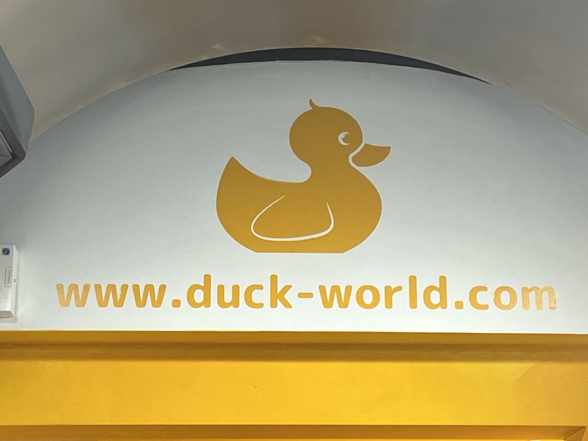 I now know there is a duck for everyone and everything!