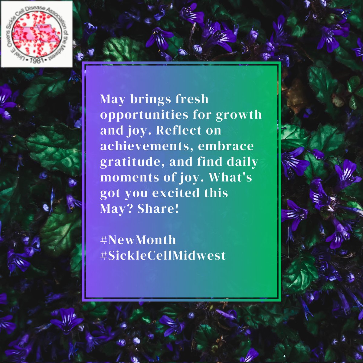 👋 #HappyMay! As May begins, let's reset, recharge, and replenish. Approach each day with hope and gratitude. Make time to find joyful moments every day!🥰 😃 What are YOU most excited about this month? Let us know! #NewMonth #SickleCellMidwest #MentalHealthAwarenessMonth