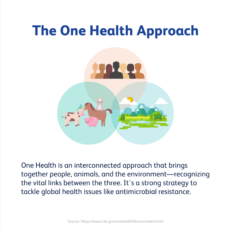 AMResistance's tweet photo. AMR makes infections harder to treat due to antibiotic overuse.

Discover how a One Health approach can combat this in "Superbugs and You, Ep 16: From Farm to Label." https://t.co/QAuc4Zf0kb

Let's unite to protect our future! #AMR #OneHealth