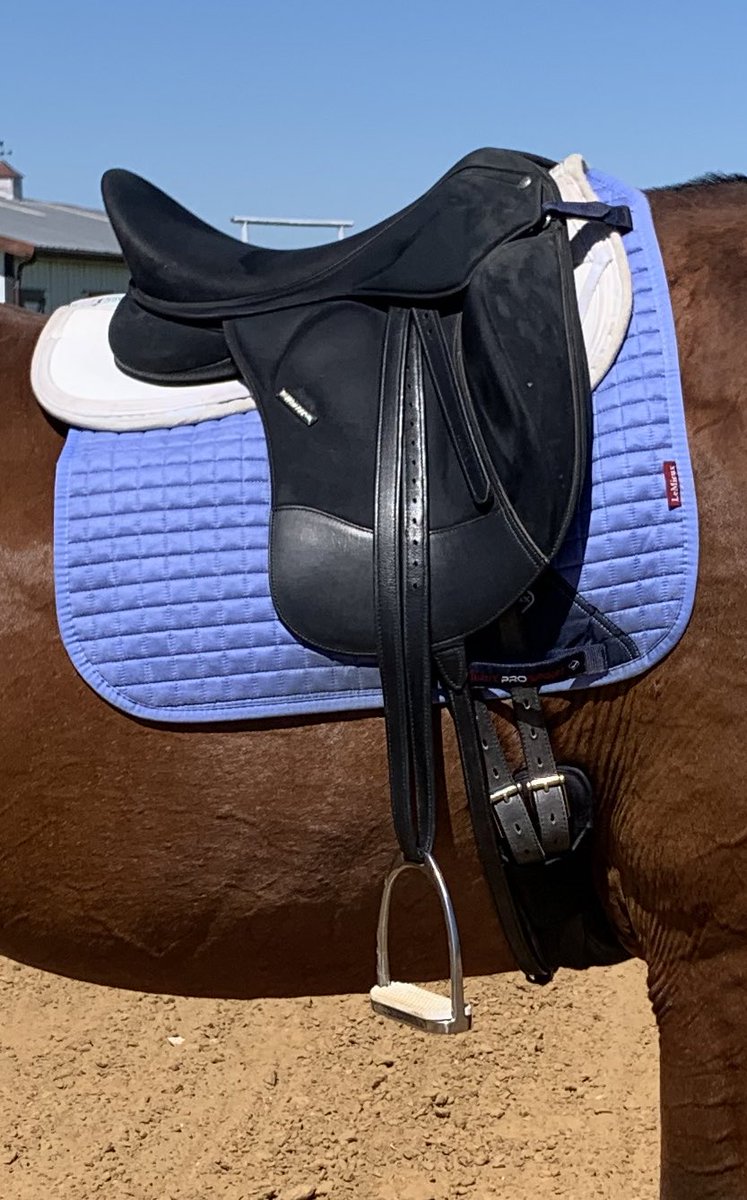 alright time for a reality check (for me): 

what would you pay for a Pro Dressage II wintec that has been well-kept, has an adjustable gullet, girth/irons/leathers/saddle cover included? saddle retails by itself for over 1k.