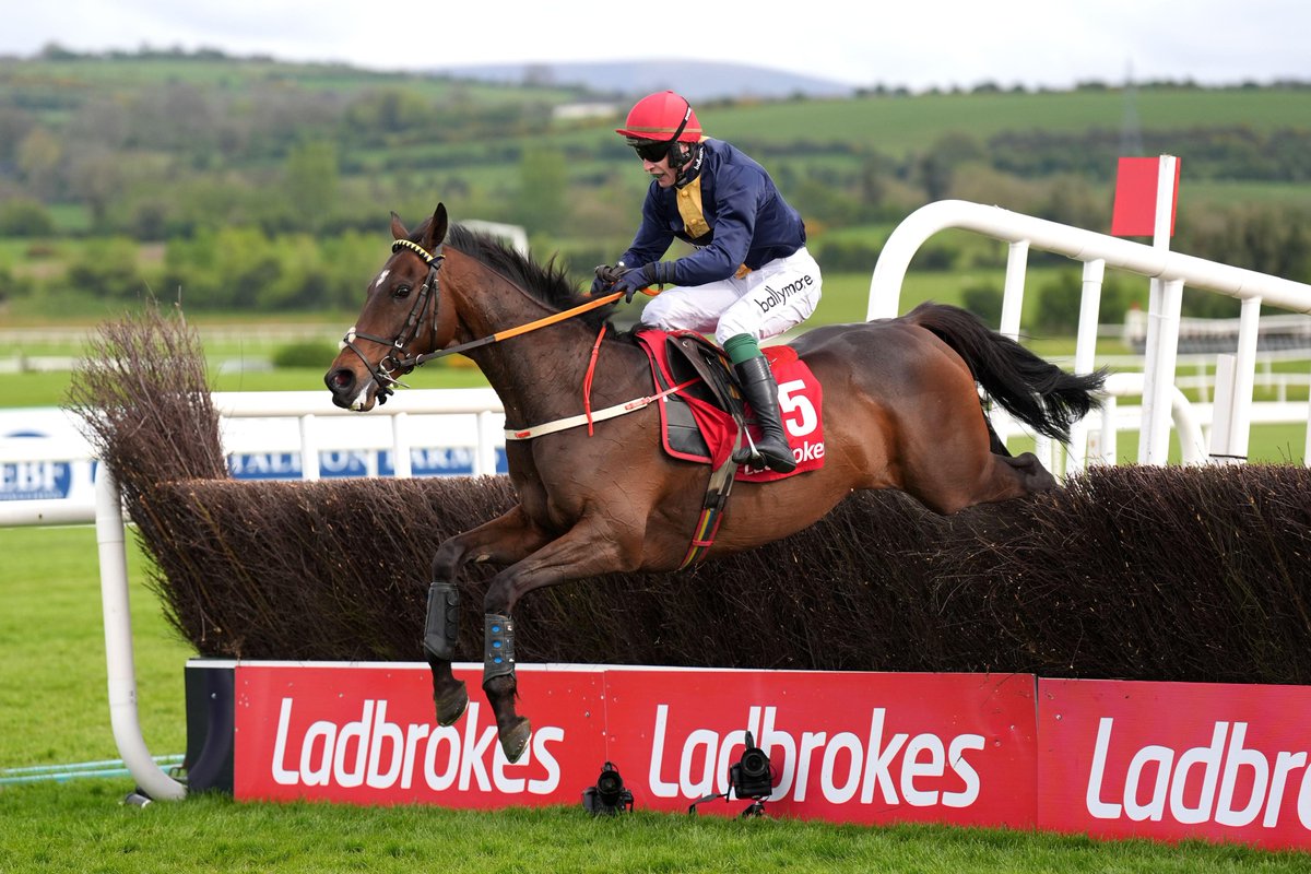 Fastorslow LOVES Punchestown 👏 What a performance